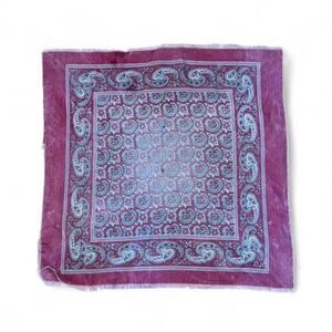 Vintage paisley bandana in a